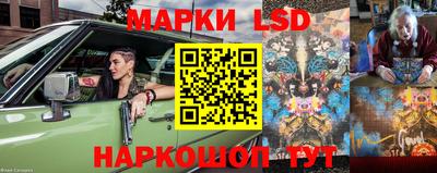 индика Аша